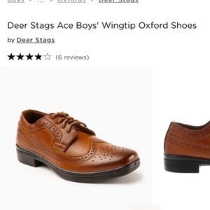 Deer Stags Ace Dress Wing-Tip Dress Comfort Oxford | Size 7 (big boys)| Brown